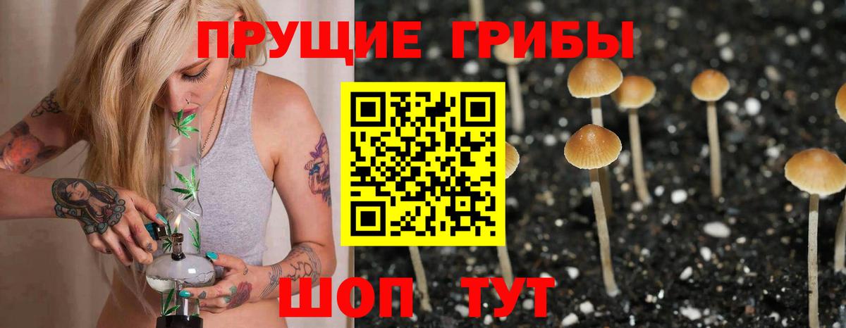Галлюциногенные грибы Cubensis Углич
